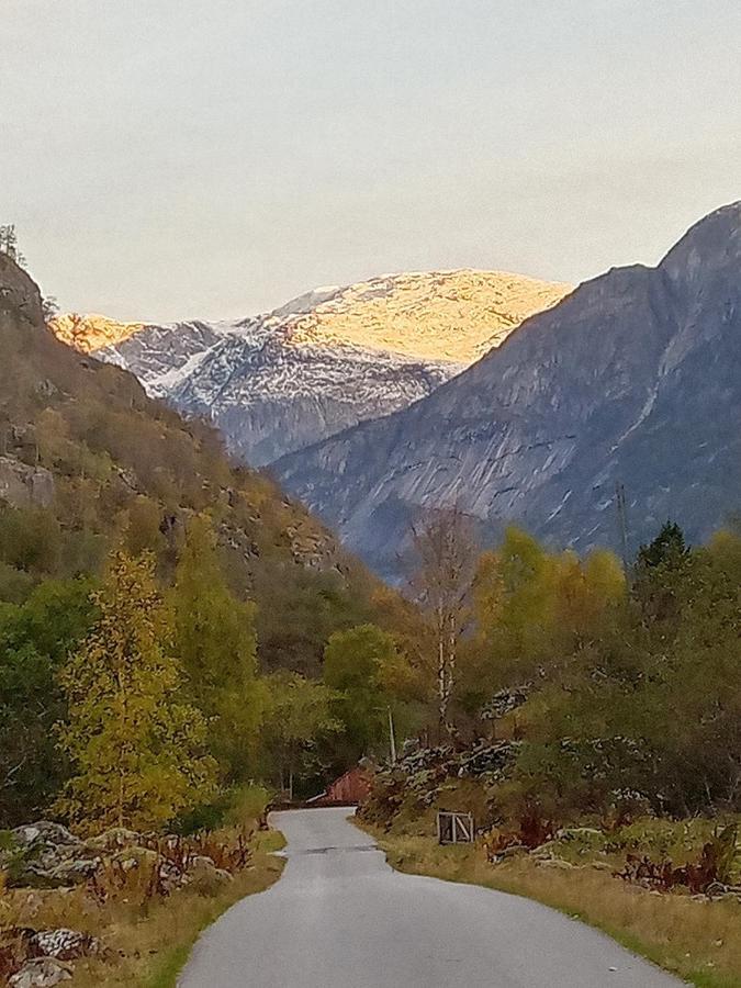 Mallabu Eidfjord Εξωτερικό φωτογραφία